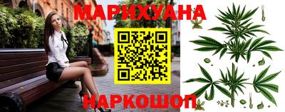 гашик Гатчина