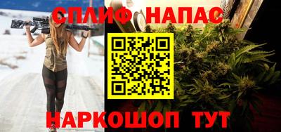 гашик Гатчина