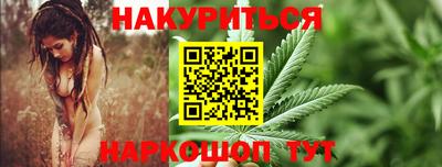 гашик Гатчина