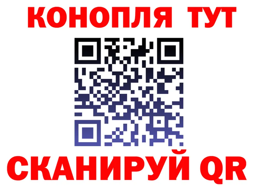 Alpha PVP СК ссылка это hydra Рубцовск
