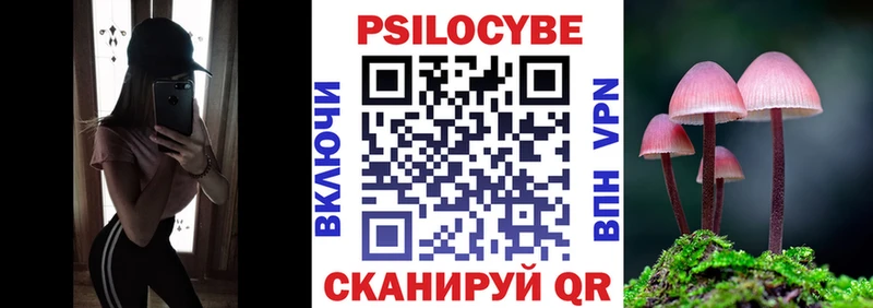 блэк спрут зеркало  купить наркотик  Рубцовск  Псилоцибиновые грибы мицелий 