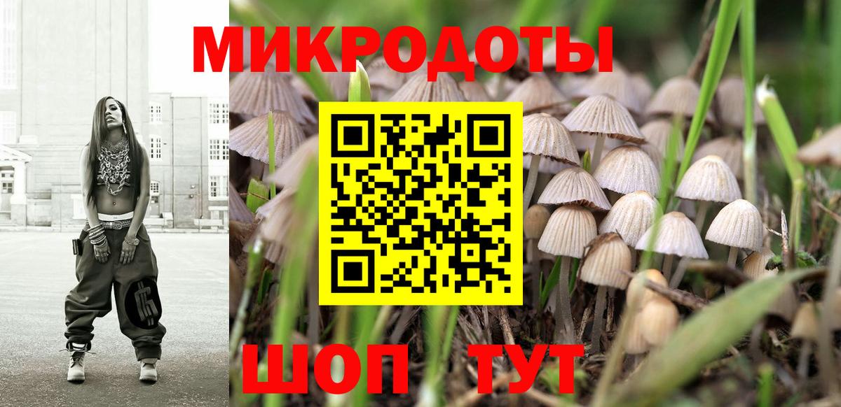 Галлюциногенные грибы Psilocybine cubensis  Галлюциногенные грибы Cubensis  Рубцовск 